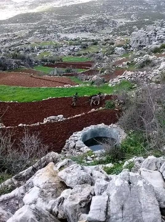 من منطقة صدين الأثرية3