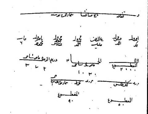 كتابة تركية عن قرية تفاحة